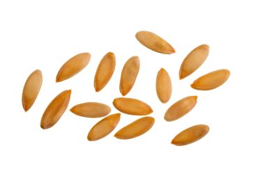 Rockmelon veya kavun tohumları, salatalık melo, orta büyüklükten büyük boyuta bir meyve..