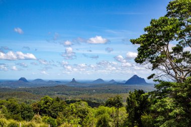 View of the Glass House Mountains from the Maleny Botanic Gardens, 19km away in a straight line.