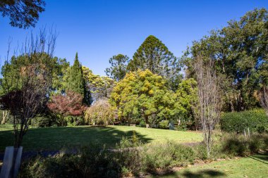 Toowoomba Queens Park ve Botanik Bahçeleri, 1870 yılında Toowoomba 'da botanik ve botanik araştırmaları için kurulan bir botanik bahçesi..