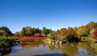 Toowoomba Japon Bahçesi 1989 yılında halk eğlencesi için kurulan bir botanik bahçesidir..