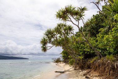 Vanuatu 'daki Gizem Adası' nın güzel tropik plajı.