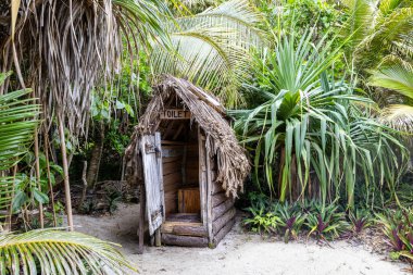 Vanuatu, Gizem Adası 'ndaki yemyeşil tropikal manzaralı sazdan çatılı kırsal açık hava tuvaleti.