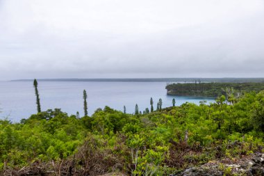 View of the Lifou Island, Loyalty Islands, New Caledonia clipart