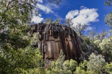 Kırk metre yüksekliğindeki uçurumun ve altıgen desenli bazalt lav sütunlarının Sawn Rocks, Narrabri, New South Wales 'deki görüntüsü..