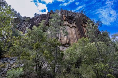 Kırk metre yüksekliğindeki uçurumun ve altıgen desenli bazalt lav sütunlarının Sawn Rocks, Narrabri, New South Wales 'deki görüntüsü..
