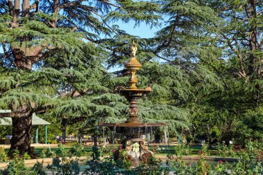 Güzel Chisholm Çeşmesi de dahil olmak üzere, 1885 yılında Avustralya 'nın Yeni Güney Galler' inde Wagga Wagga halkına sunulan Zafer Anıtı Bahçelerinin panoramik manzarası..