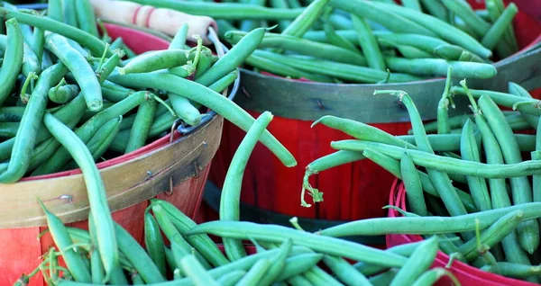 Ekologiska Råa Grönsaker Som Redo Att Säljas Marknaden — Stockfoto