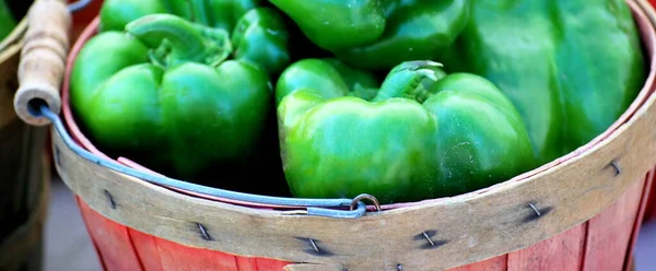 Vegetais Crus Orgânicos Prontos Para Serem Vendidos Mercado — Fotografia de Stock
