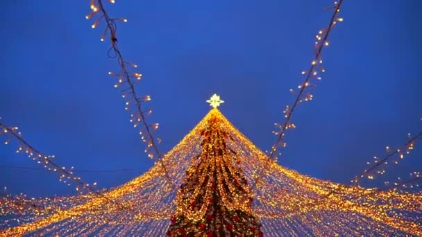 Árbol Festivo Decoraciones Cuerdas Ligeras Contra Crepúsculo Cielo Navidad Año — Vídeos de Stock