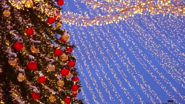 Festlicher Baum Dekorationen Und Lichterketten Gegen Den Dämmrigen Himmel Weihnachten — Stockvideo