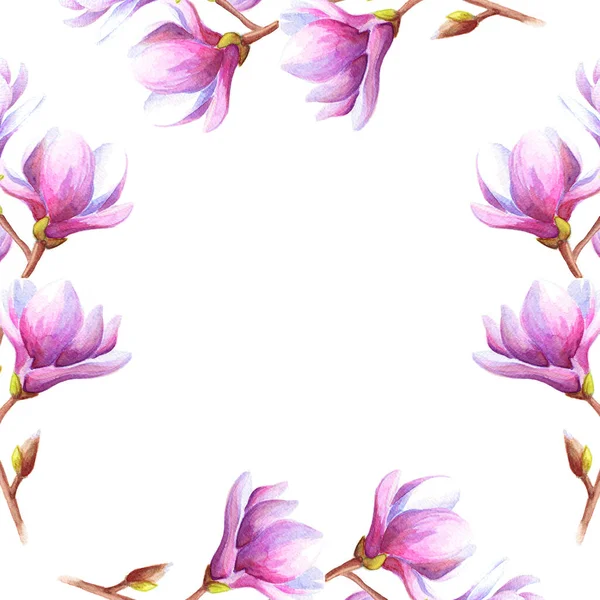 Handgetekende Aquarel Illustratie Van Magnolia Tulpenboom Takken Met Roze Bloemen — Stockfoto