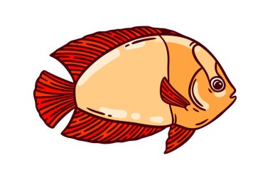 Renkli parlak kırmızı ve turuncu balıklar, el çizimi vektör çizimi. Restoran deniz ürünleri menüsü grafik ögesi beyaz üzerine izole.