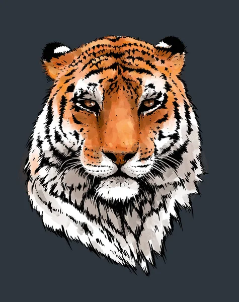 Ilustracja Portretu Tygrysa Szczegółowy Rysunek Głowy Dzikiego Kota Majestatyczny Drapieżnik — Zdjęcie stockowe