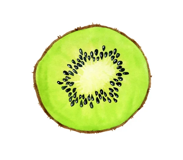 Verde Acuarela Kiwi Rebanada Fruta Ilustración Realista Acuarela Botánica Clipart — Foto de Stock