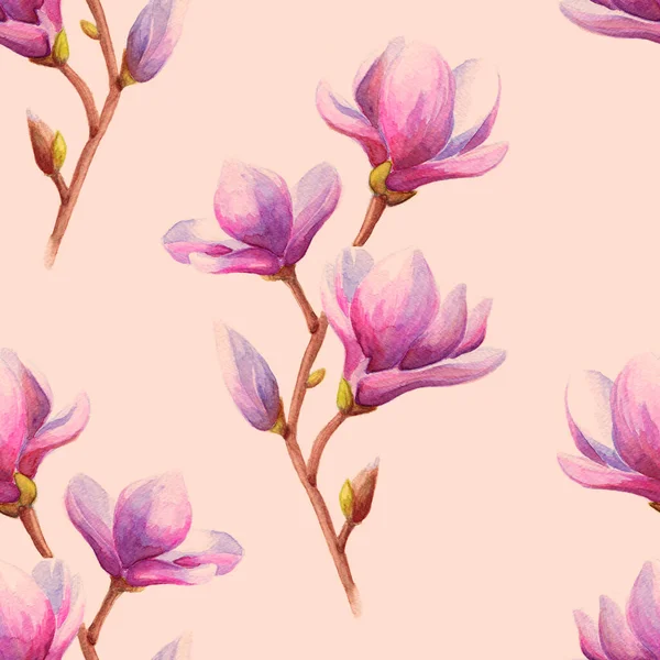 Ręcznie Rysowane Akwarela Magnolia Lub Gałąź Drzewa Tulipan Różowymi Kwiatami — Zdjęcie stockowe