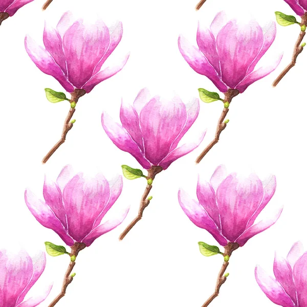 Χειροποίητη Ακουαρέλα Χωρίς Ραφή Μοτίβο Απεικόνιση Της Μανόλιας Τουλίπας Ροζ — Φωτογραφία Αρχείου