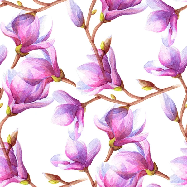 Ручной Рисунок Акварели Бесшовный Рисунок Магнолии Ветви Тюльпана Розовыми Цветами — стоковое фото