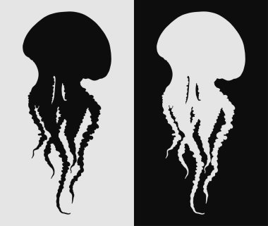 El çizimi denizanası izole edilmiş siyah beyaz vektör çizimi. Uzun dokunaçlı silueti olan Medusa. Deniz doğası, sualtı yaşam hayvanı..