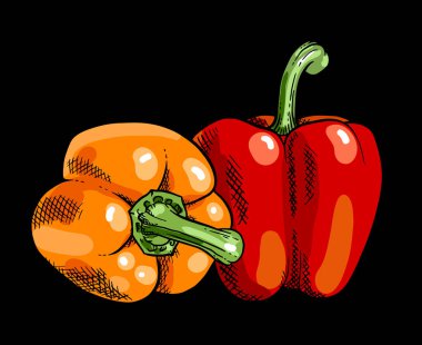 Two fresh sweet peppers isolated over black. Vegetable design elements for farm market, vegetarian food recipe vector illustration.