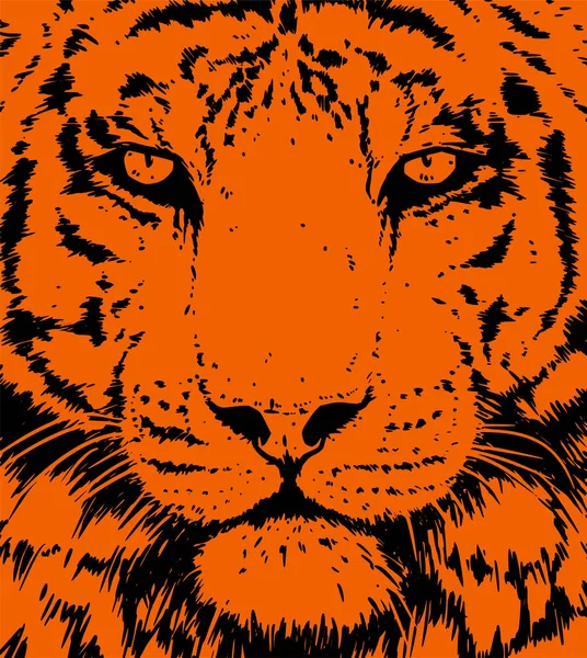 Illustration Portrait Vectoriel Tigre Tête Chat Sauvage Dessin Détaillé Majestueux — Image vectorielle