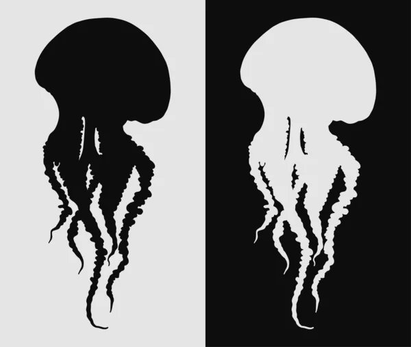 Handgezeichnete Quallen Isolierte Vektorillustration Schwarz Weiß Medusa Mit Langen Tentakeln — Stockvektor