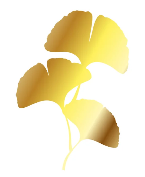 Ginkgo Gingko Biloba Golden Leaves Nature Botanical Gold Vector Illustration — Stockvector