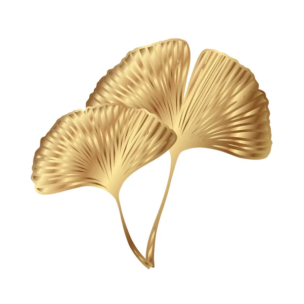 イチョウやイチョウの黄金の葉 自然植物ゴールドベクトル図 白の上に隔離装飾金属グラフィック — ストックベクタ