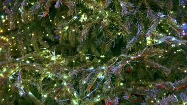 Güzel bir Noel ağacında parıldayan ışıklar. Kapalı alandaki yakın çekim görüntüleri