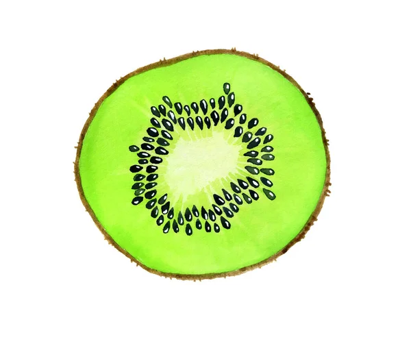 Verde Acuarelă Kiwi Felie Fructe Ilustrație Realistă Acuarelă Botanică Clipă — Fotografie, imagine de stoc