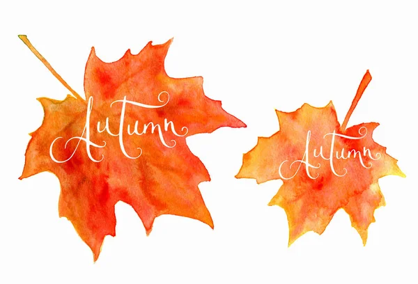 Orange Watercolor Autumn Maple Leaves Handwritten Word Autumn Isolated White — Stock Photo, Image