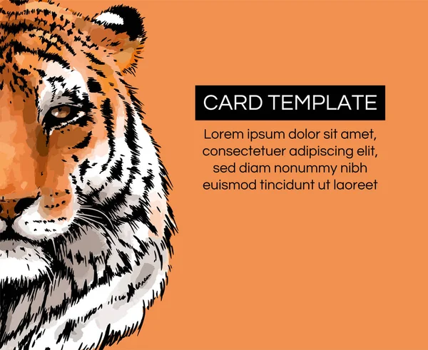 Tiger Vetor Retrato Ilustração Modelo Cabeça Gato Selvagem Desenho Detalhado —  Vetores de Stock