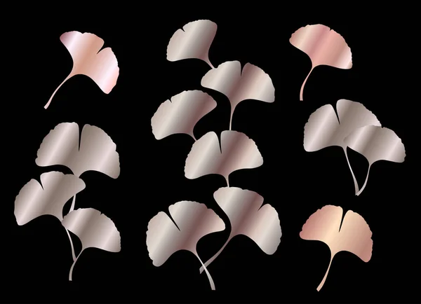Ginkgo Gingko Biloba Rosa Conjunto Folhas Douradas Natureza Botânica Rosa — Vetor de Stock