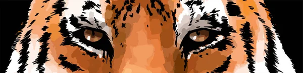 Tiger Eyes Colored Vector Portrait Illustration Wild Cat Head Close — 图库矢量图片