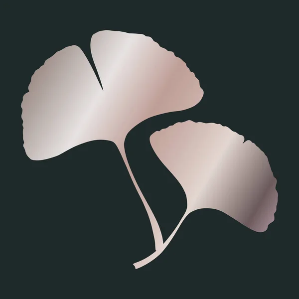 Ginkgo Gingko Biloba Розовые Золотистые Листья Натуральная Ботаническая Векторная Иллюстрация — стоковый вектор