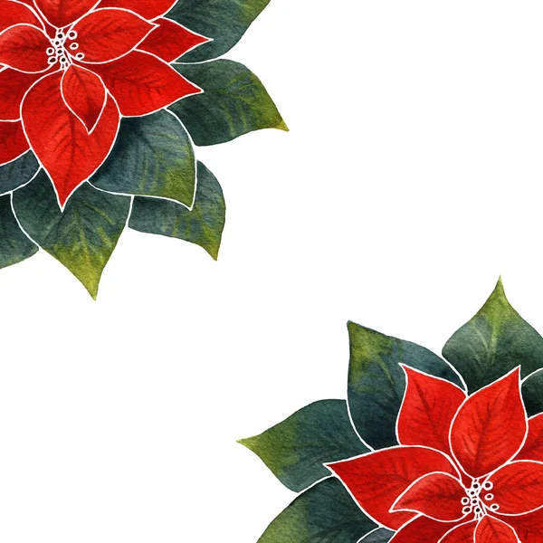 Červená Zelená Akvarel Poinsettia Květ Ilustrace Vánoce Nový Rok Dovolená — Stock fotografie