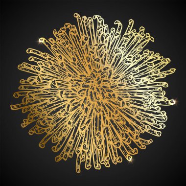 Karmaşık çizgileri ve koyu zıt bir geçmişi olan kasımpatı çiçeğini andıran, zarafet ve karmaşıklığı çağrıştıran detaylı bir altın çiçek çizimi..