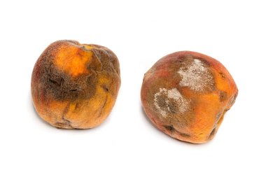 Çürük şeftaliler, yüzeylerinde küflenmeyi ve çürümeyi gösterir. Bozulmuş ürünler ve yiyecek atıkları. Sağlık güvenliği, depolama ipuçları ve mutfak hijyeni konuları.