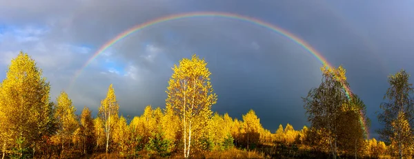 Rainbow over the autumn forest