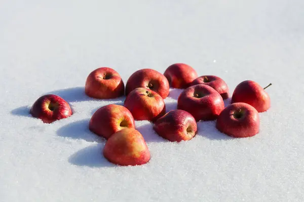 Manzanas Rojas Tumbadas Nieve Invierno Primer Plano Fotos De Stock