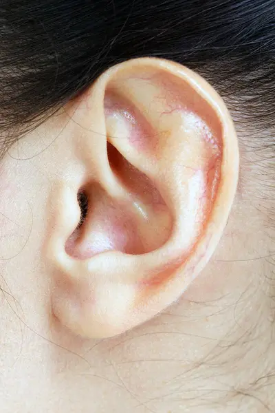 Female Ear Closeup Shot Stock Image