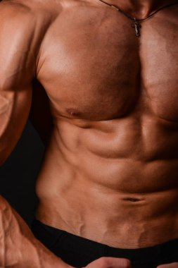 Kaslı erkek gövdesi, altılı paket.