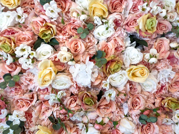 Bloeiende Pastelrozen Andere Bloemen Achtergrond — Stockfoto