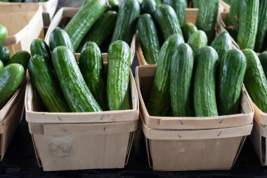 Taze salatalıklar ahşap bir masada satılık. Yerel bir çiftçi pazarı..
