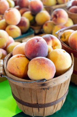 Sarı şeftali sepetleri yerel bir çiftçi pazarında satışa sunuluyor.