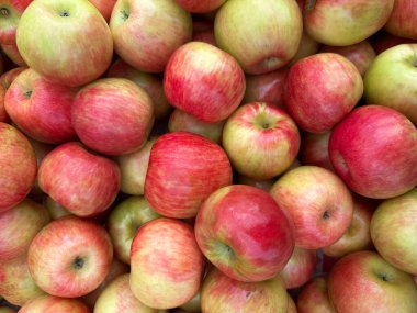 Taze toplanmış Honeycrisp elmalarının canlı, tepeden, tam çerçeve görüntüsü, kırmızı ve sarı-yeşil deri karışımı..