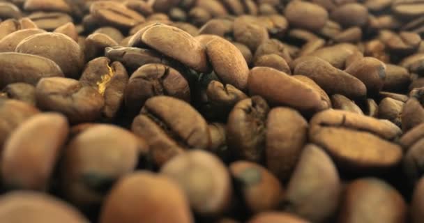 Kávébab Közelkép Kameratologatás Szondás Lencsével Nagy Látószögű Makró Perspektíva Csúszó — Stock videók