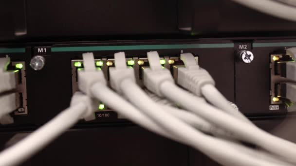 唯一のデータセンターのサーバールームでスイッチに接続されているネットワークケーブル — ストック動画