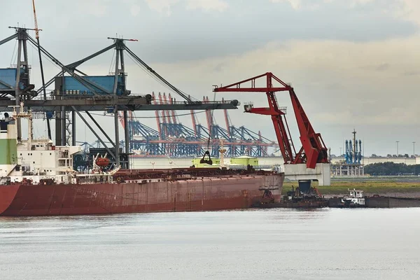 Huge Iron Ore Transporter Ship Rotterdam Port Bulk Terminal Cranes — Stock Photo, Image