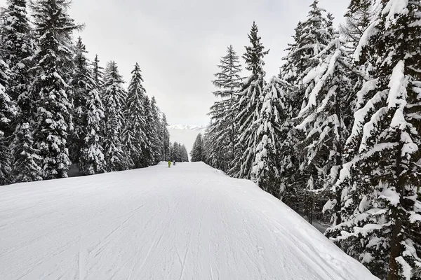 Snowy Bomen Berg Met Skipistes — Stockfoto