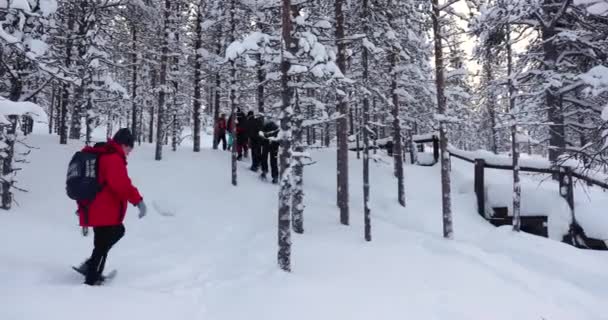 Saariselka Finland Circa 2022 Групповые Походы Снегоступах Снежным Зимним Тропам — стоковое видео